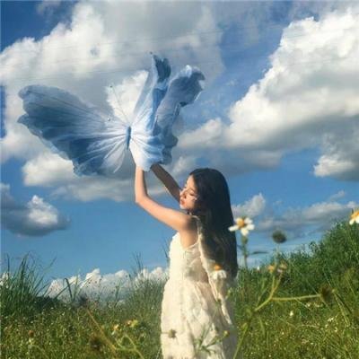 鸡同鸭讲